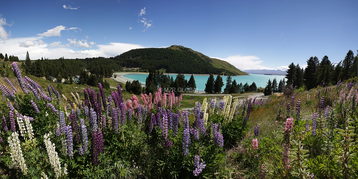 NEW ZEALAND 2013